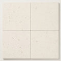 Blavet Blanc Limestone Tile 18x18 Honed 1/2 inch close-up
