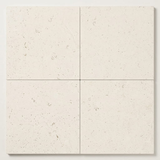Blavet Blanc Limestone Tile 18x18 Honed 1/2 inch close-up