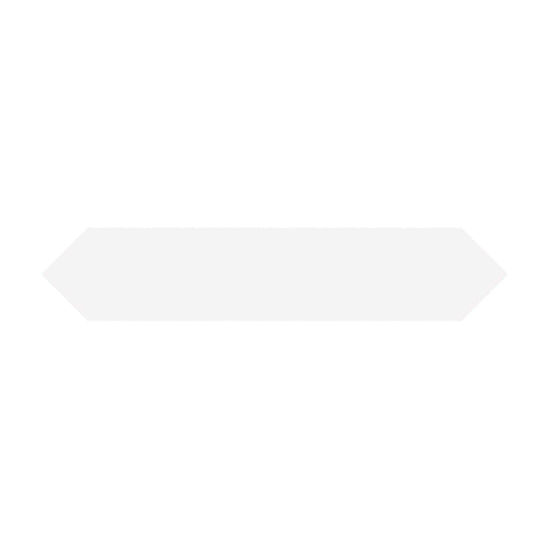 Single Block Arrow Blanco 2x10 matte porcelain tile with pointed ends on a white background.
