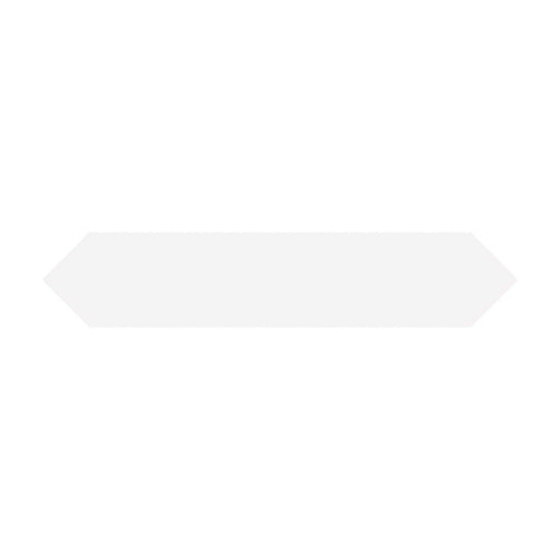 Single Block Arrow Blanco 2x10 matte porcelain tile with pointed ends on a white background.