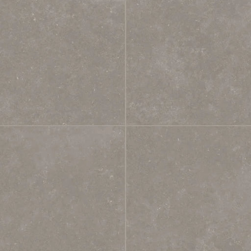 Bluerun Atlas Gray 24x24 Matte Field Ceramic Tile