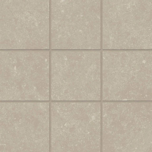Bluerun Historic Greige 12x12 Matte Porcelain Mosaic