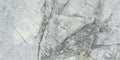 Bluetta Print A 48x96 Polished Porcelain Slab