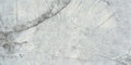 Bluetta Print A 48x96 Polished Porcelain Slab