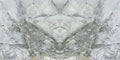 Bluetta Print A 48x96 Polished Porcelain Slab