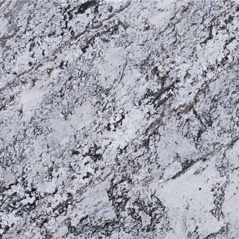 Bonno polished granite with a light gray base and dark, flowing mineral markings.