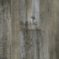 Borrowed Scenery Tanned Palms 7x48 5mm SPC Core Vinyl Flooring