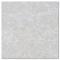 Botticino Fiorito 12x12 Veined Marble Tile