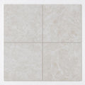 Botticino Fiorito 18x18 Polished Veined Marble Tile close-up