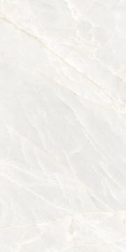 Brasilia White 12x24 Matte Porcelain Tile