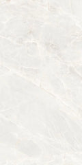 Brasilia White 24x48 Matte Porcelain Tile