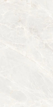 Brasilia White 24x48 Matte Porcelain Tile