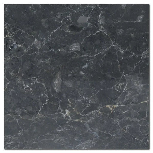 Breccia Grigio 12x12 Polished Veined Marble Tile