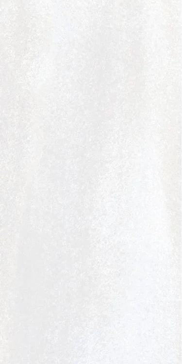 Bruce 12x24 Polished Porcelain Tile