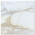 Calacata Gold 12x24 Honed Veined Marble Tile