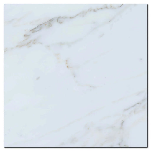Calacata Gold 12x12 Honed Veined Marble Tile