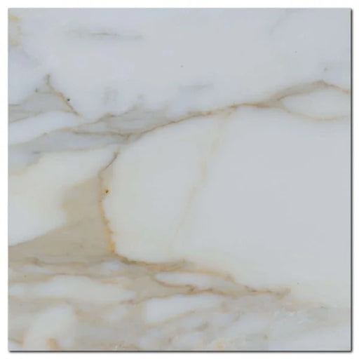 Calacata Gold 12x12 Polished Veined Marble Tile