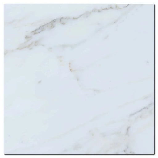 Calacata Gold 12x12 Honed Veined Marble Tile