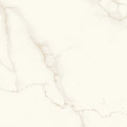 Calacatta Apuano 48x48 Rectified Porcelain Tile