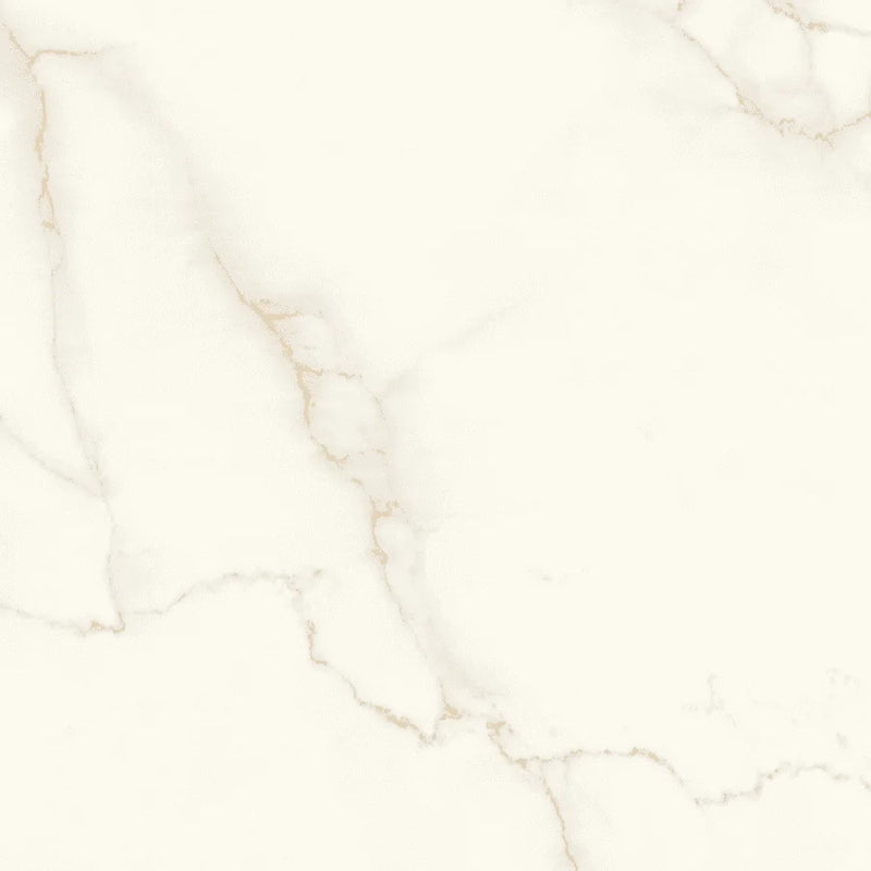 Calacatta Apuano 48x48 Rectified Porcelain Tile