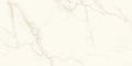 Calacatta Apuano 48x48 Rectified Porcelain Tile