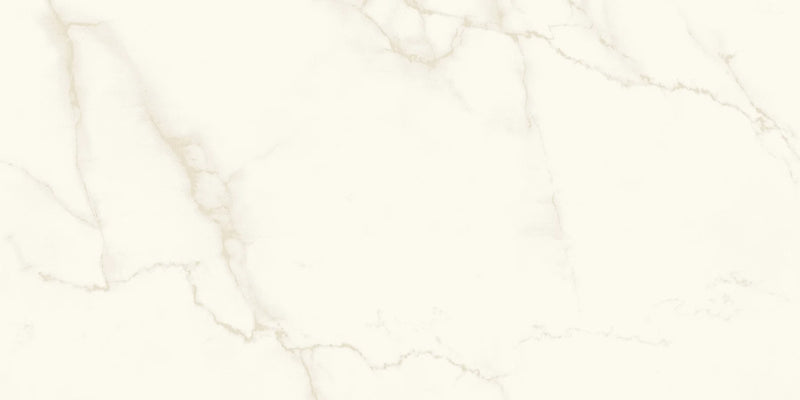 Calacatta Apuano 48x48 Rectified Porcelain Tile