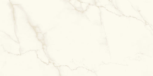 Calacatta Apuano 48x48 Rectified Porcelain Tile