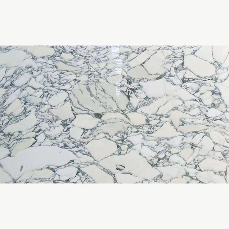 Calacatta Arabescato Corchia marble slab with a white background and intricate gray veining.