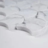 Calacatta Blanco Scallop Polished Misc. 0.38 Inch Marble Mosaic Tile