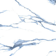 Calacatta Blue 48x48 Matte Marble Look Porcelain Tile
