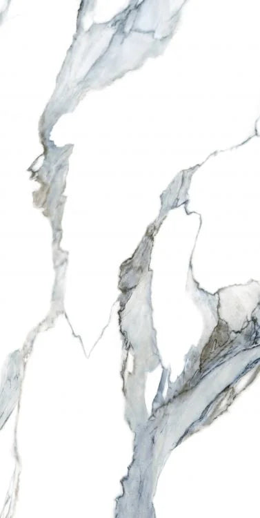 Calacatta Fantasy Acqua 24x48 Polished Marble Look Porcelain Tile