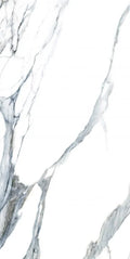 Calacatta Fantasy Acqua 24x48 Polished Marble Look Porcelain Tile