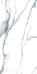 Calacatta Fantasy Acqua 24x48 Polished Marble Look Porcelain Tile
