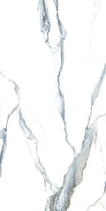 Calacatta Fantasy Acqua 24x48 Polished Marble Look Porcelain Tile