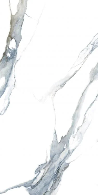 Calacatta Fantasy Acqua 24x48 Polished Marble Look Porcelain Tile
