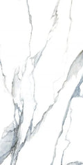 Calacatta Fantasy Acqua 24x48 Polished Marble Look Porcelain Tile