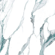 Calacatta Fantasy Green 48x48 Polished Marble Look Porcelain Tile