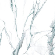 Calacatta Fantasy Green 48x48 Polished Marble Look Porcelain Tile