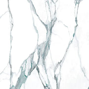 Calacatta Fantasy Green 48x48 Polished Marble Look Porcelain Tile