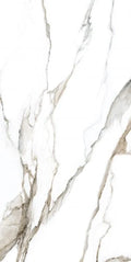 Calacatta Fantasy Topo 24x48 Polished Marble Look Porcelain Tile