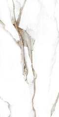 Calacatta Fantasy Topo 24x48 Polished Marble Look Porcelain Tile