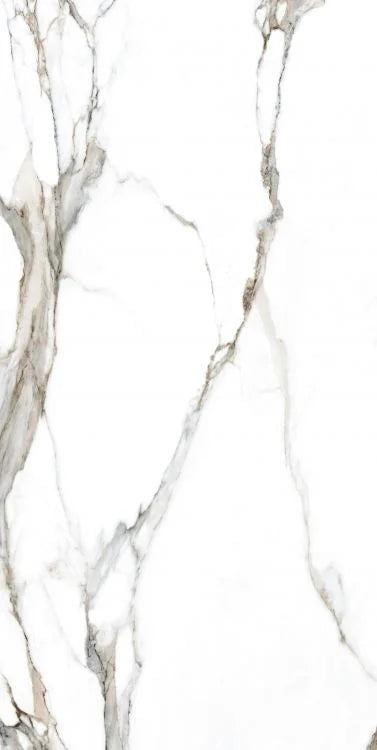 Calacatta Fantasy Topo 24x48 Polished Marble Look Porcelain Tile