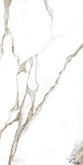 Calacatta Fantasy Topo 24x48 Polished Marble Look Porcelain Tile