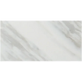 Calacatta Gold 12x24 Honed Marble Tile