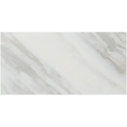 Calacatta Gold 12x24 Honed Marble Tile