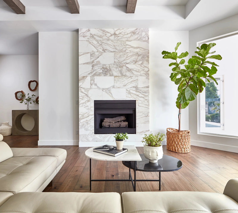 Calacatta Gold 12x24 Polished Marble Tile