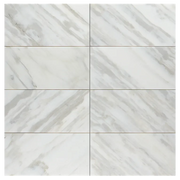 Calacatta Gold 12x24 Polished Marble Tile