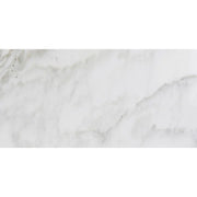 Calacatta Gold 12x24 Honed Marble Tile
