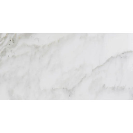 Calacatta Gold 12x24 Honed Marble Tile