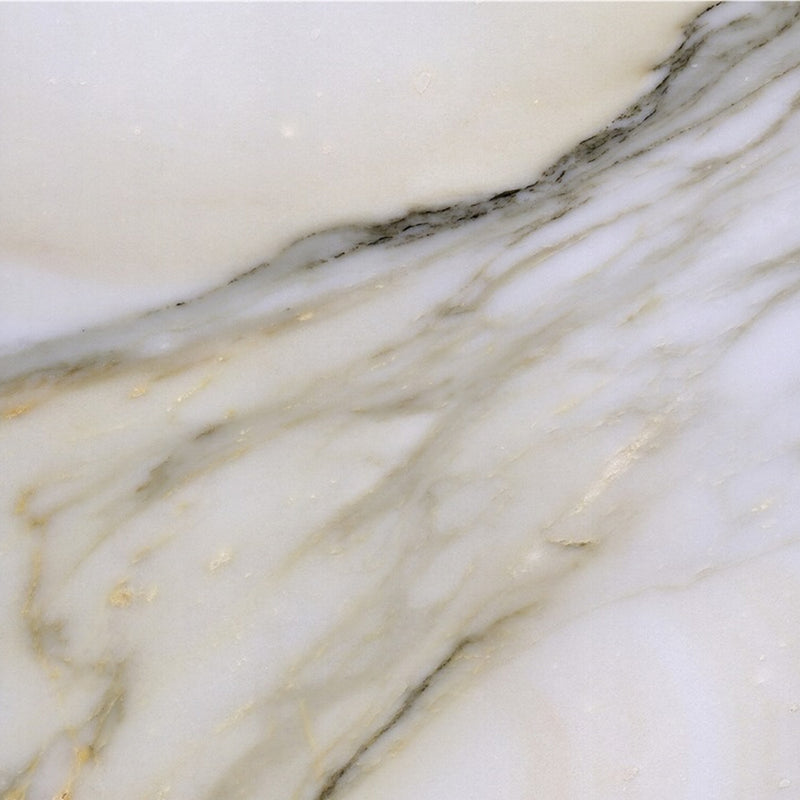 Close-up of Calacatta Gold marble with a white surface, gray veining, and subtle gold tones.